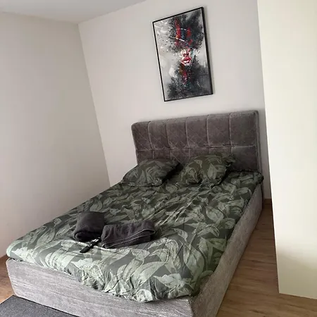 Appartement L Ideal , Avec Et Digicode Possibilite Location Voiture , Climatisation, Cheminee, Netflix, Petit Dejeuner, Repas Du Soir Fondue, Raclette, Barbecue Sur Demande
